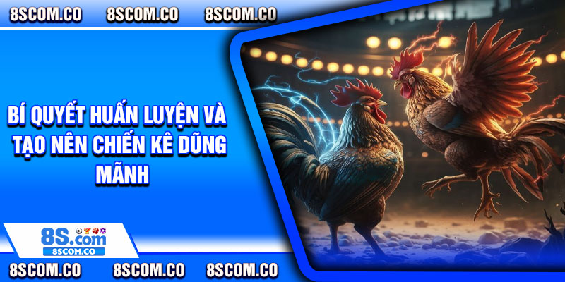 Bí quyết huấn luyện và tạo nên chiến kê dũng mãnh