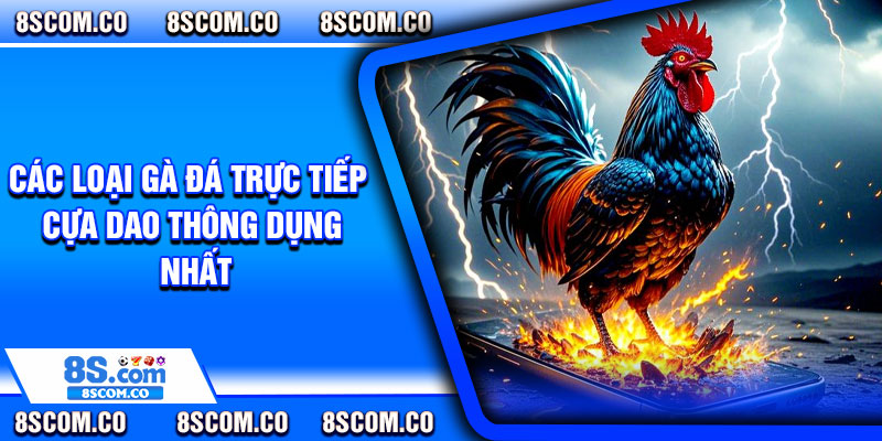 Các loại gà đá trực tiếp cựa dao thông dụng nhất