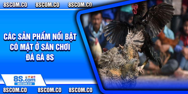Các sản phẩm nổi bật có mặt ở sân chơi đá gà 8s