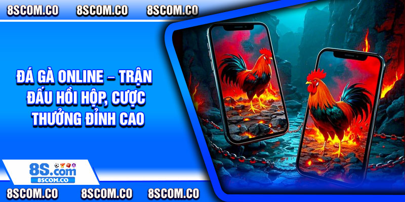 Da Ga Online – Tran Dau Hoi Hop Cuoc Thuong Dinh Cao