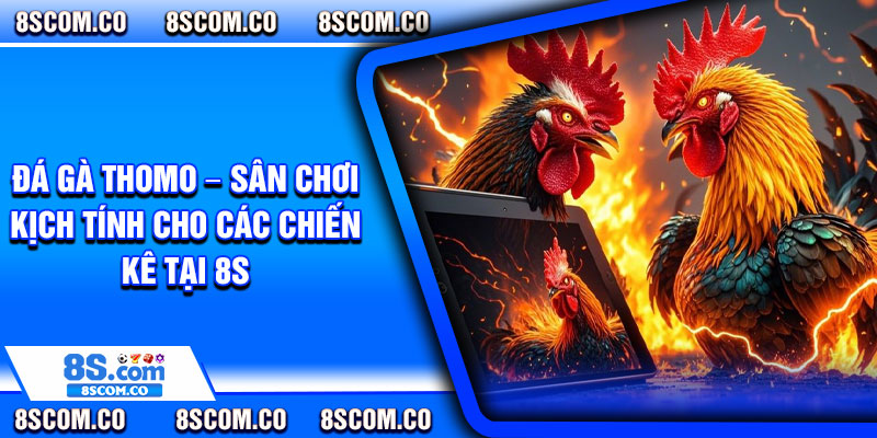 Da Ga Thomo – San Choi Kich Tinh Cho Cac Chien Ke Tai 8s