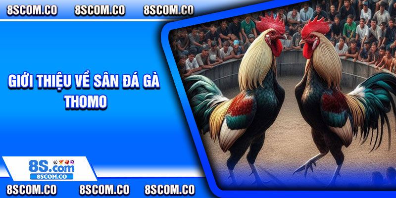Giới thiệu về sân đá gà thomo