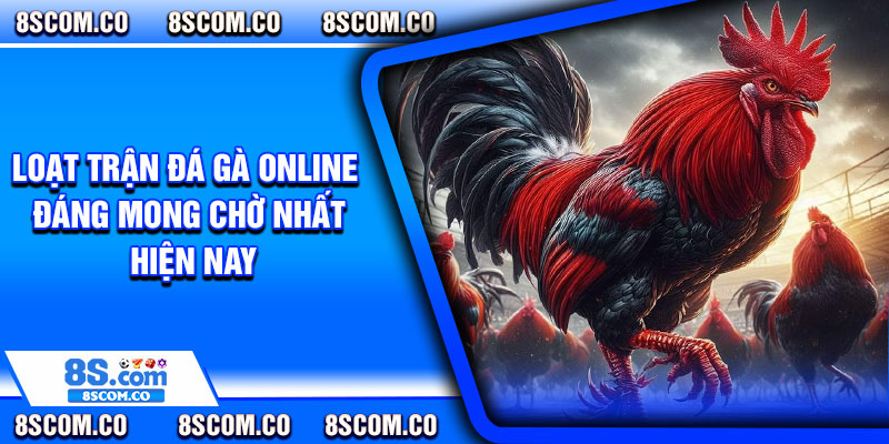 Loạt trận đá gà online đáng mong chờ nhất hiện nay