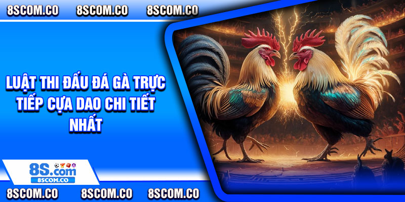 Luật thi đấu đá gà trực tiếp cựa dao chi tiết nhất
