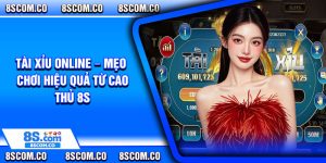Tai Xiu Online – Meo Choi Hieu Qua Tu Cao Thu 8s