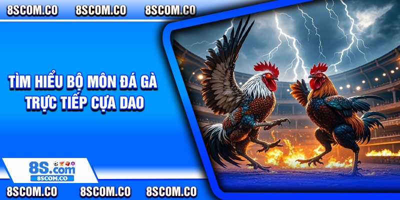 Tìm hiểu bộ môn đá gà trực tiếp cựa dao