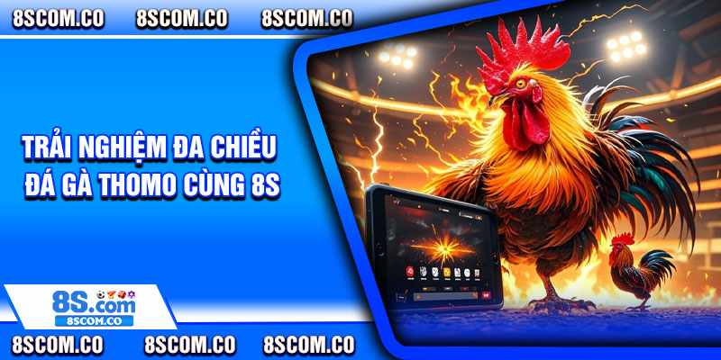 Trải nghiệm đa chiều đá gà thomo cùng 8s