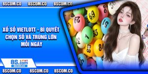Xo So Vietlott Bi Quyet Chon So Va Trung Lon Moi Ngay